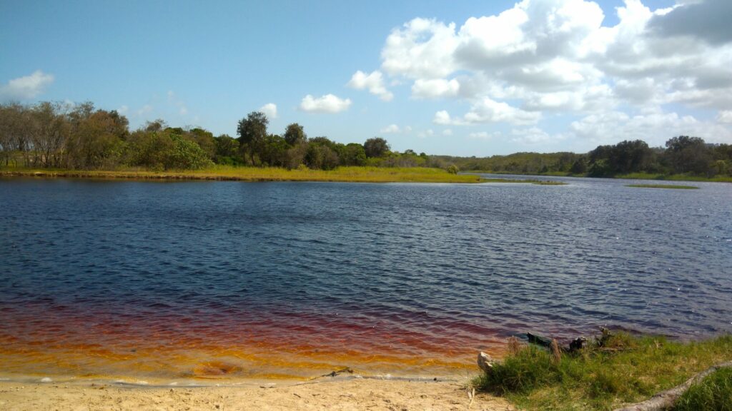 Tea-tree lake, Byron Bay, Australie, photo souvenir 2018.